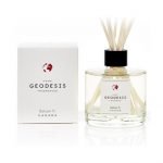 Diffuseur Géodesis "Fir balsam"