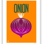 Illustration Onion. Les tirages 30 x 40 cm sont présentés sous passes-partout.
